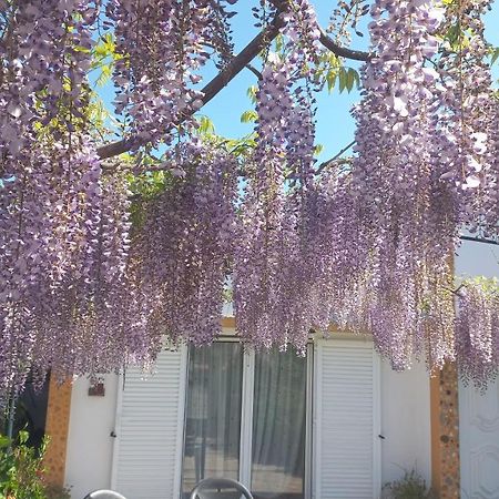 Casa Dos Gansos Villa Perais Екстериор снимка