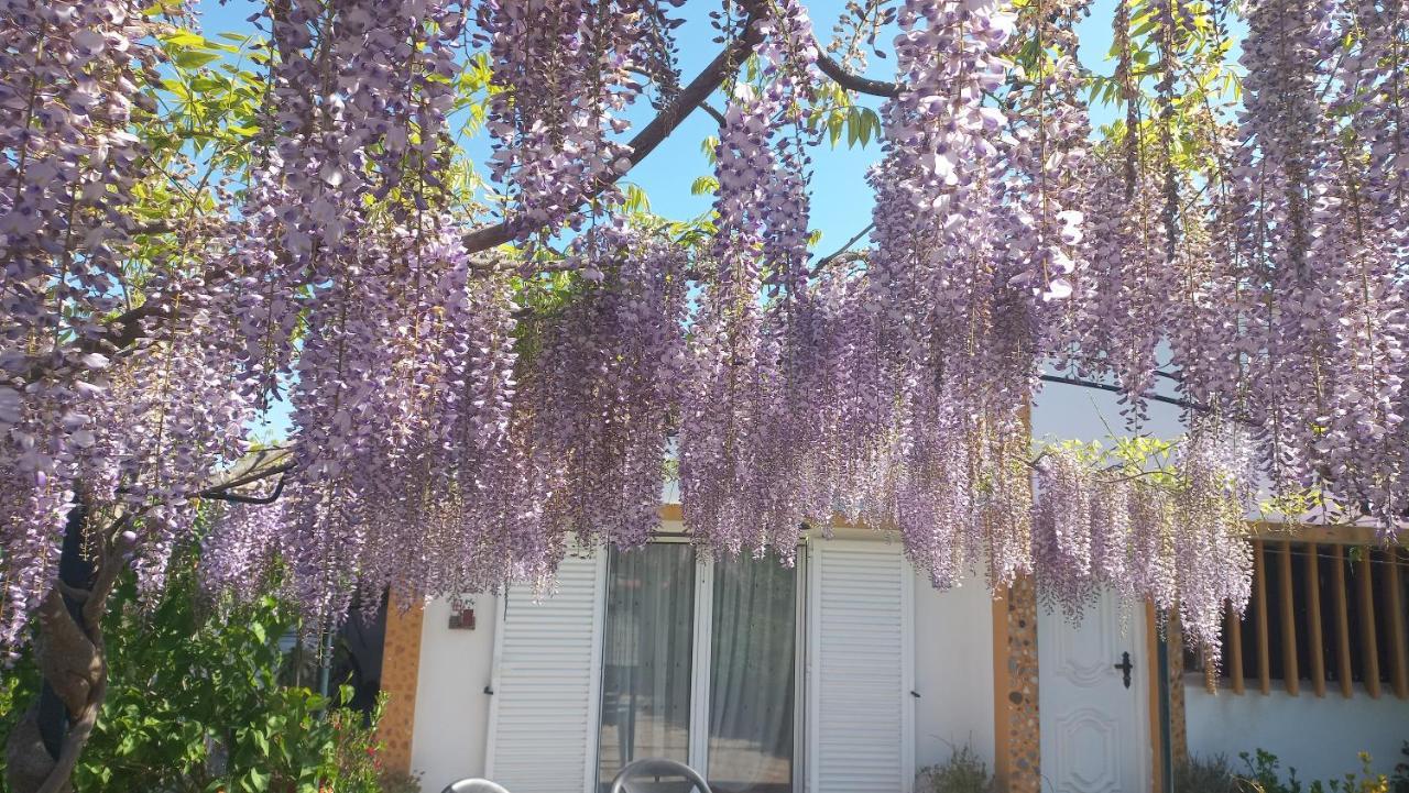 Casa Dos Gansos Villa Perais Екстериор снимка